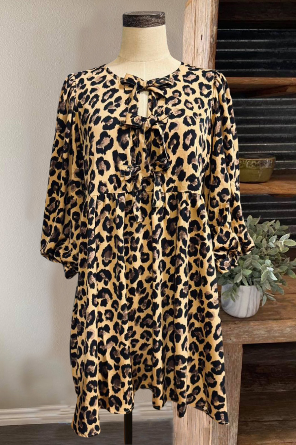 Leopard Print Bow Lace-up Mini Dress