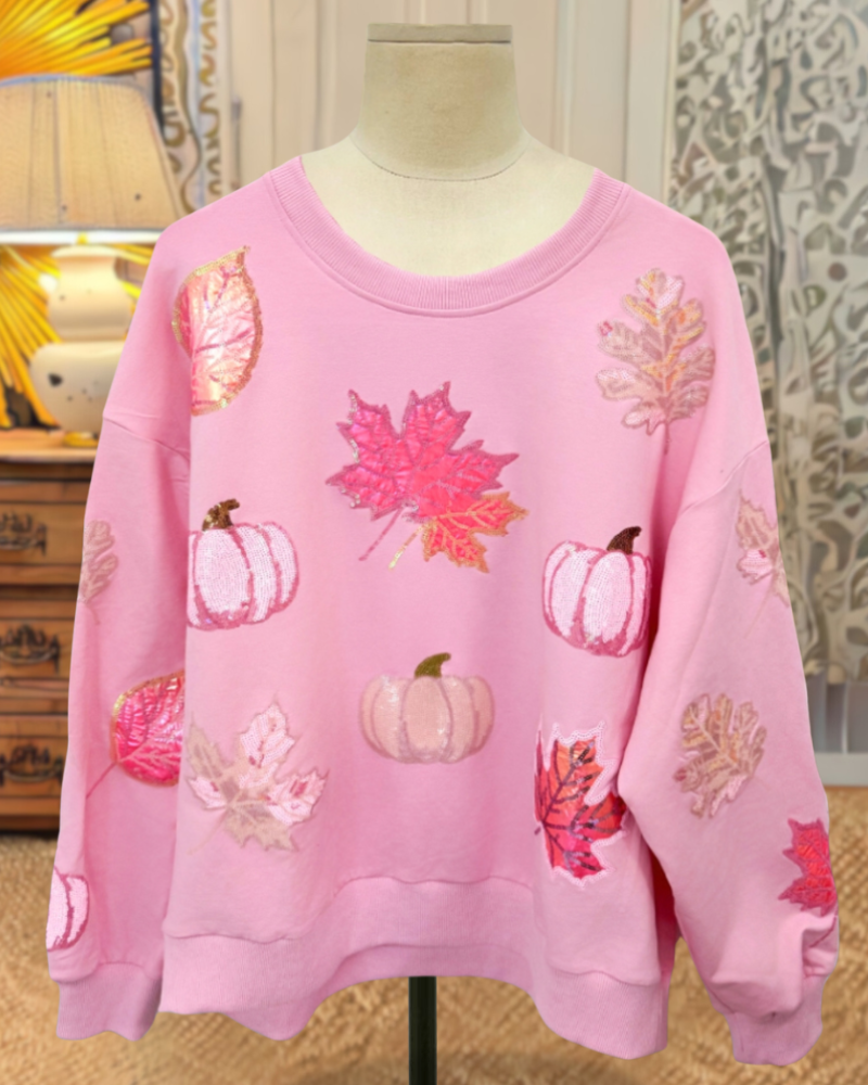 Lovely Sequin Fall Pullover